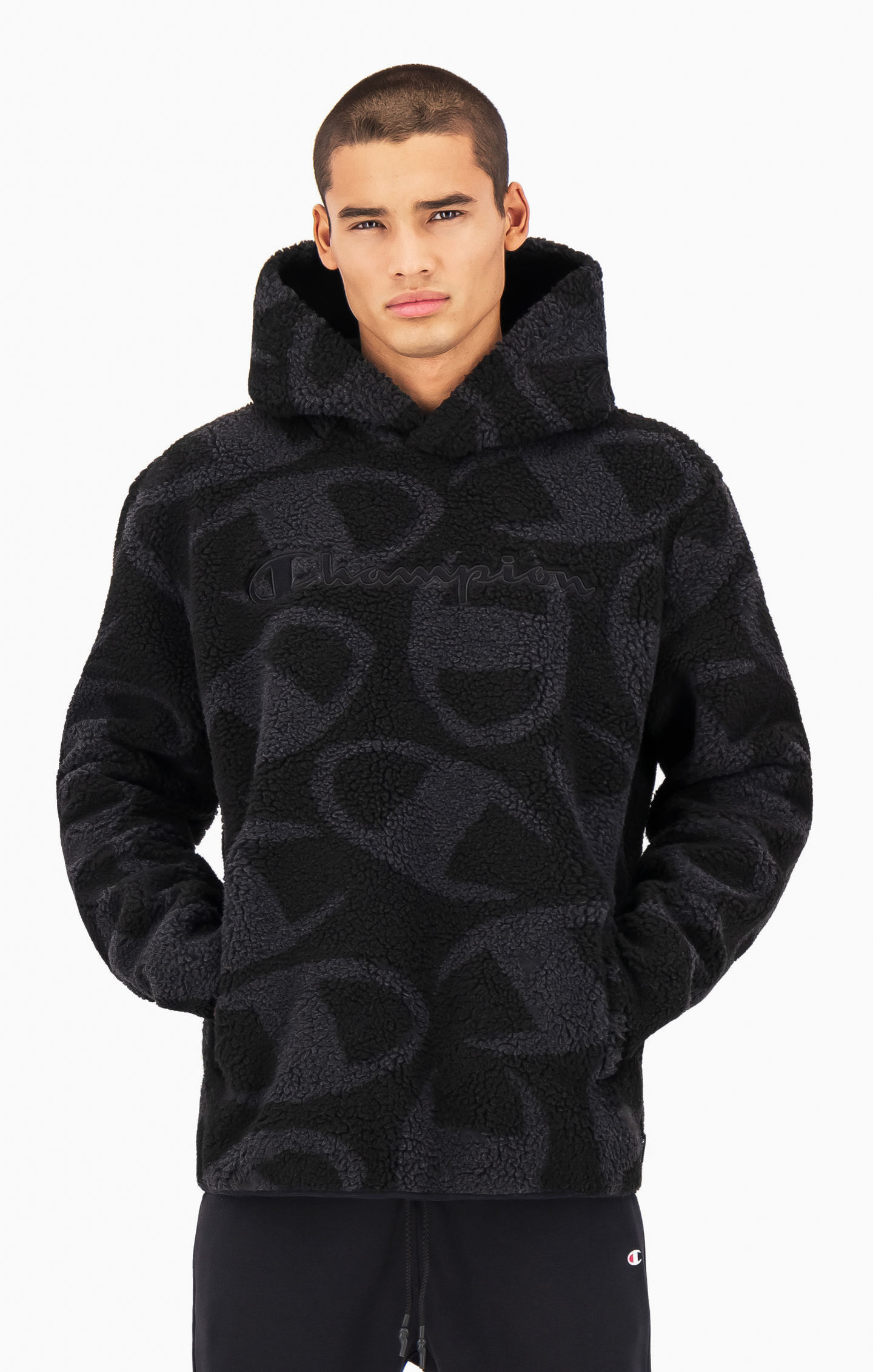 champion teddy fleece hoodie