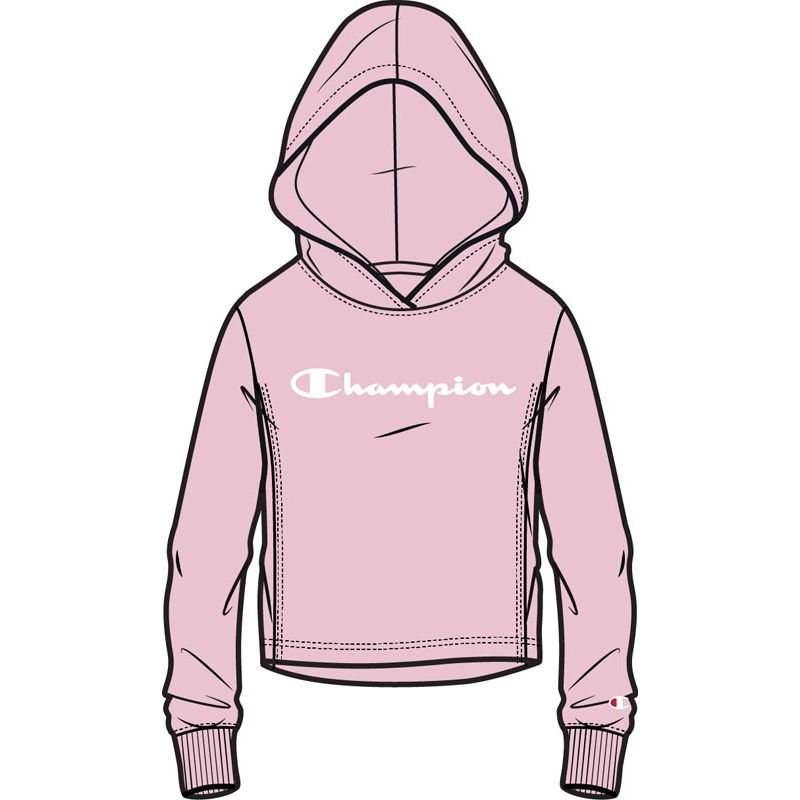 champion hoodie intersport